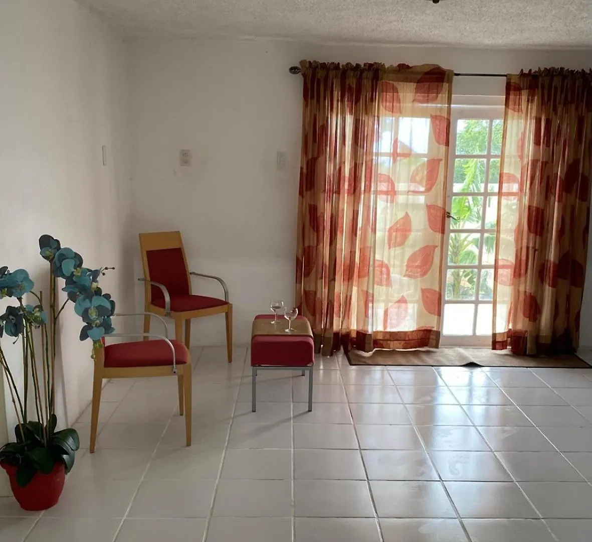Quickest Wolf B&B Amore Willemstad